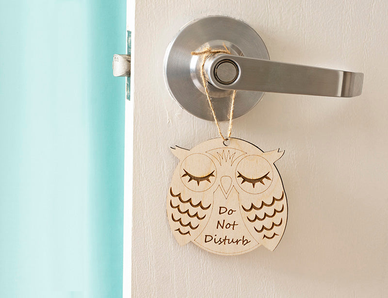 Do Not Disturb Owl Door Hanger Sign - Laser Cut Wood Engraved - Cades and Birch 