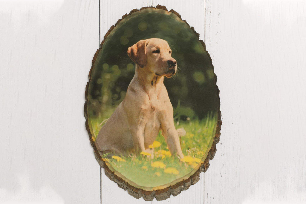 Photo Basswood Tree Slice Personalized with Your Picture Printed on Wood Slab - Cades and Birch 