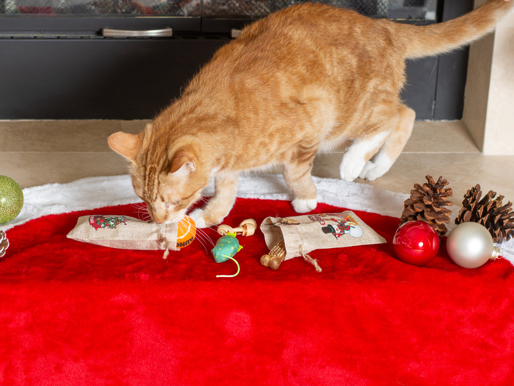 Personalized Advent Calendar for your Pet– 24 Burlap Bags in Engraved Box – Reusable Dog or Cat Christmas Countdown – Filled or Empty Option