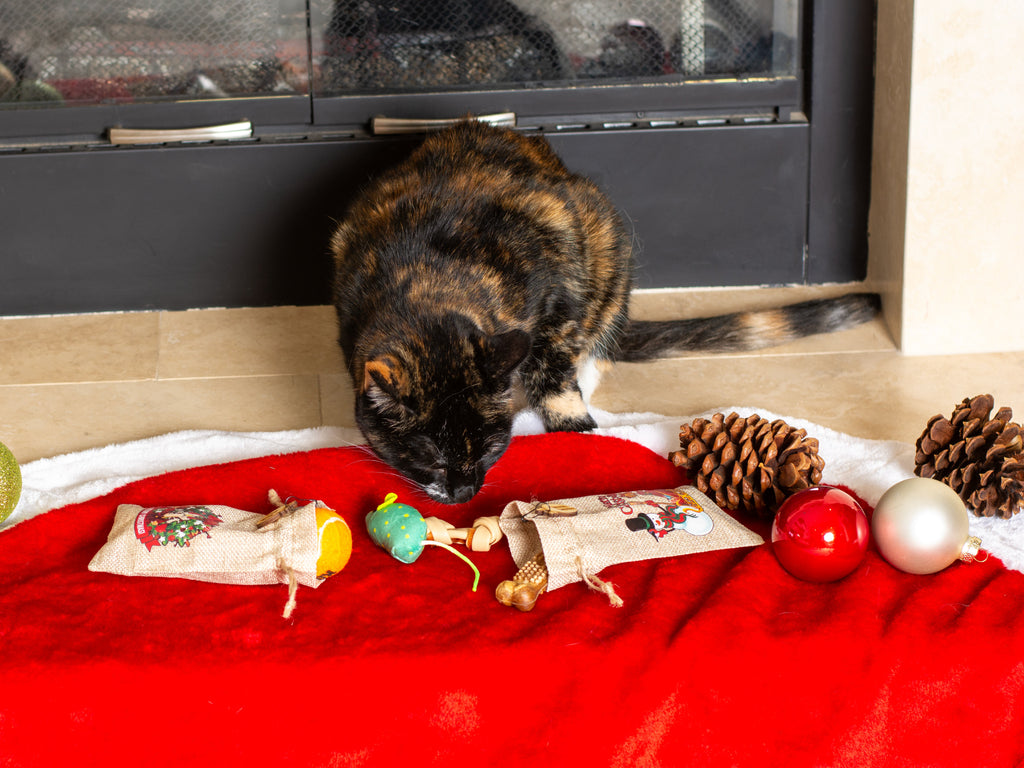 Personalized Advent Calendar for your Pet– 24 Burlap Bags in Engraved Box – Reusable Dog or Cat Christmas Countdown – Filled or Empty Option